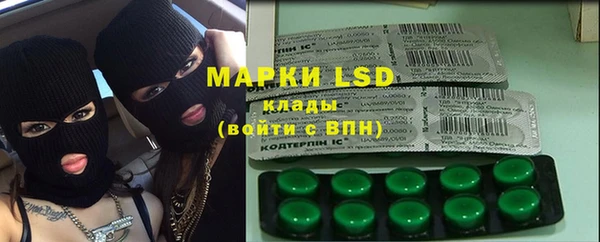 PSILOCYBIN Белокуриха