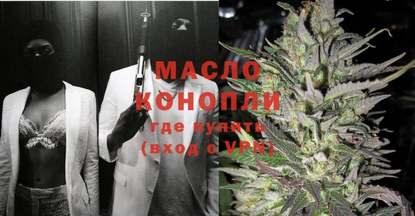 индика Михайлов