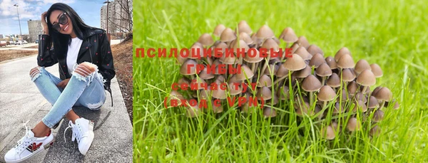 PSILOCYBIN Белокуриха