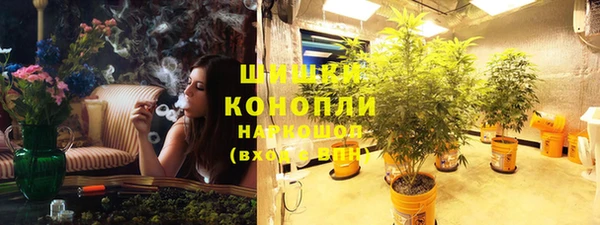 ПСИЛОЦИБИНОВЫЕ ГРИБЫ Беломорск