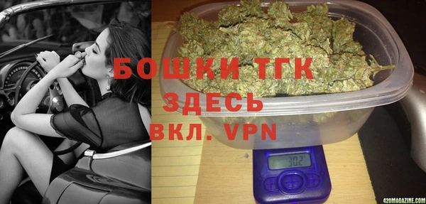 PSILOCYBIN Белокуриха