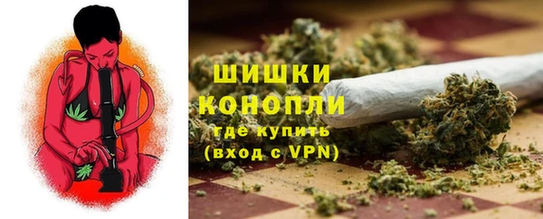 PSILOCYBIN Белокуриха