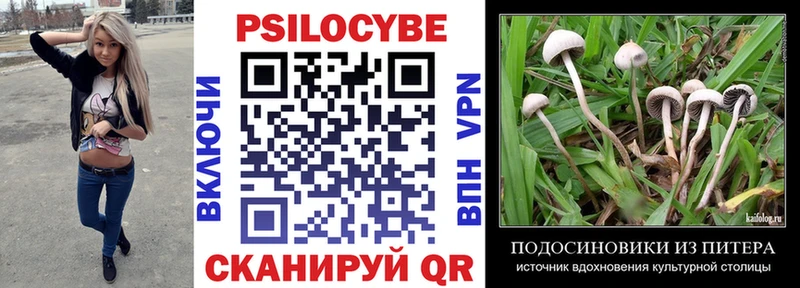 Купить где Аша Псилоцибиновые грибы прущие грибы